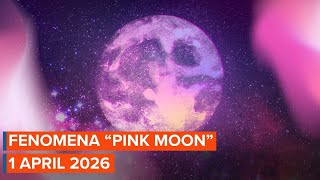 The Pink Moon Phenomenon On April 12 2026 Heres How To Witness It In Indonesia