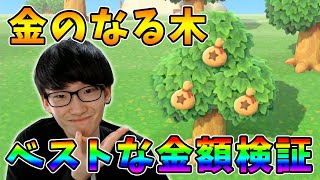 あつ森 金のなる木の作り方と利益が最大になる金額はいくらなのか検証しよう あつまれどうぶつの森 Youtube