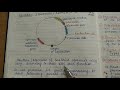 Bacterial Plasmids part 1