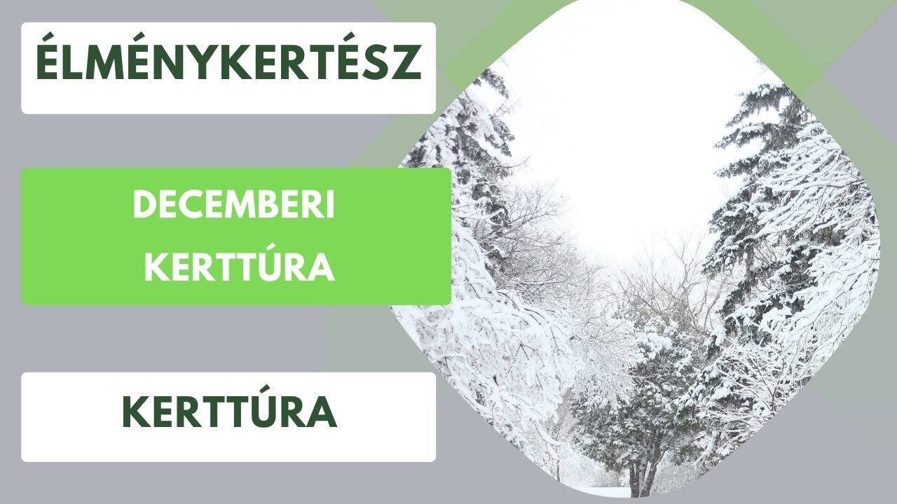 Kerttúra decemberben a hóesésben❄️