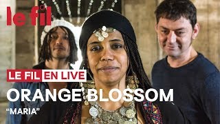ORANGE BLOSSOM - Maria // Live @ le fil