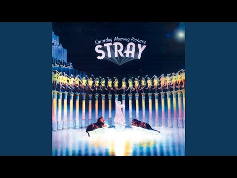 Stray (6) — Move That Wigwam