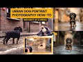 Urban Photography and Portraits Quiz