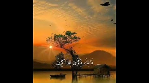 رعد الكردي قرآن كريم || واقم الصلاة