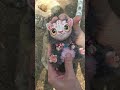 Кошечка Мурка от мастерской Куклыолвик ooak craft toy cat Sara