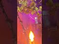 Diwali 2024 вќ пёЏ Instareels Song Funny Diwalispecial Diwali Diwali 2024 вќ пёЏ Instareels Song Funny Diwalispecial Diwali