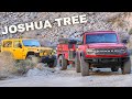 Exploring Off the Beaten Path in Joshua Tree