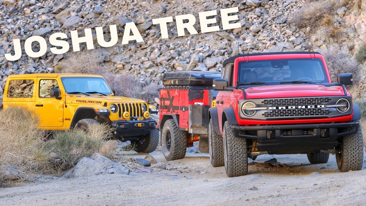 Exploring Off the Beaten Path in Berdoo Canyon, Joshua Tree