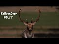 Fallow Deer Rut Documentary | Wildlife Filmmaking