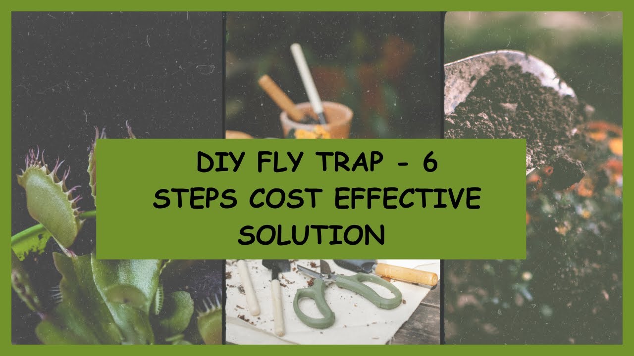 Goodbye House Flies - Easy DIY Fly Trap (Homemade Version)