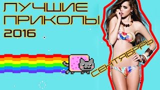 ЛУЧШИЕ ПРИКОЛЫ 2016 СЕНТЯБРЬ Самые смешные приколы за сентябрь 2016 ЛУЧШИЕ ПРИКОЛЫ 2016 СЕНТЯБРЬ Самые смешные приколы за сентябрь 2016