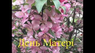 День Матері 2018