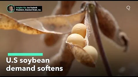 How to Evaluate the Factors Influencing the U.S. Soybean Market