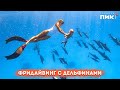 Фридайвинг с дельфинами | Baby freediving with dolphins