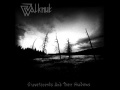 Walknut - The Midnightforest of the Runes