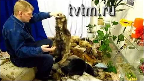 Самый ноский мех.Как выбрать мех