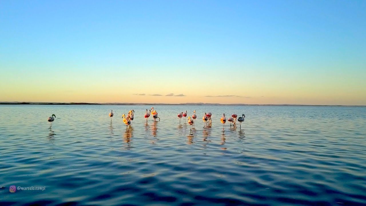 Paisaje Protegido Laguna Rocha, Uruguay 4k