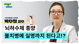 뇌하수체 종양 불치병에 실명까지 된다고!?ㅣ이대서울병원 신경외과 박수정 교수 ㅣC＆A 13 - 뇌하수체 종양