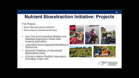 NYS Department of Environmental Conservation