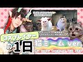 【コスプレ】最近流行りの猫memeでコスプレイヤーの1日再現してみた。