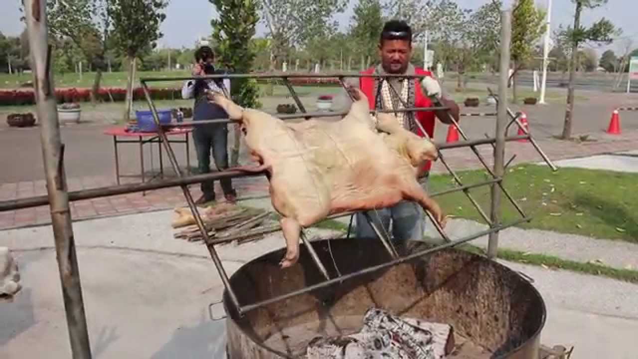 funny roasted pig