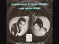 The Onion Song  - Marvin Gaye & Tammi Terrell