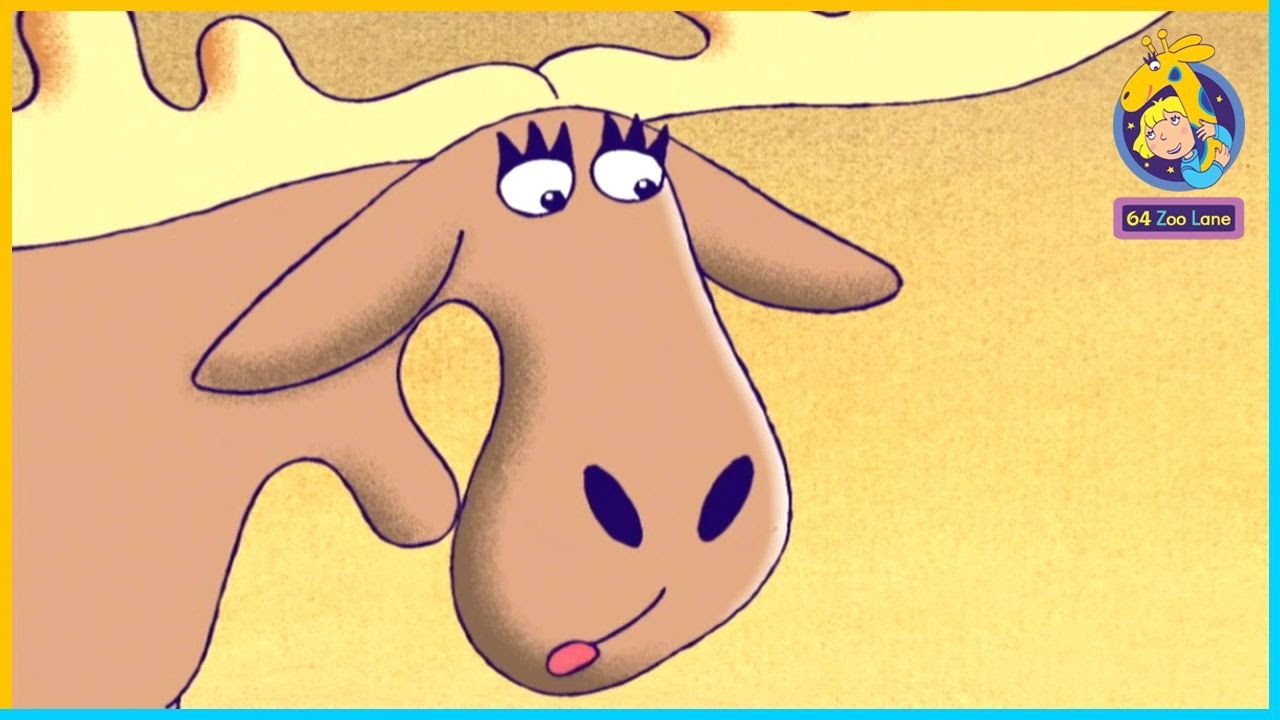 The Story of Melanie the Moose 🫎 | 64 Zoo Lane