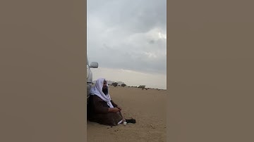 دحيم الحماد ١٤٤٢هـ تلاوة من سورة نوح