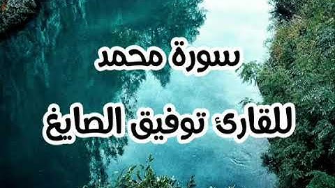 سورة محمد للقارئ توفيق الصايغ