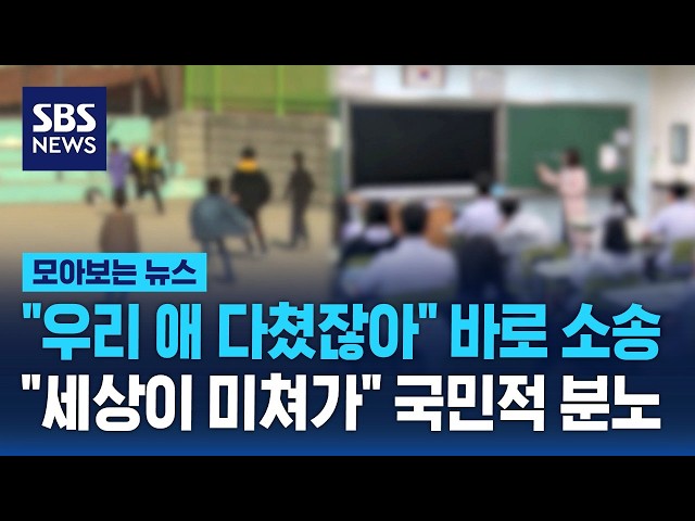 "그럴 거면 집에서 키우세요" 유난 학부모들에 '분노' / SBS / 모아보는 뉴스