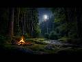 You Are Falling Asleep By A Campfire Beside A Quiet Forest River 