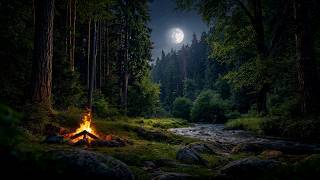 You Are Falling Asleep by a Campfire Beside a Quiet Forest River 🌙🔥