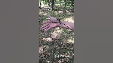 Jungle Knots, and Toggle.