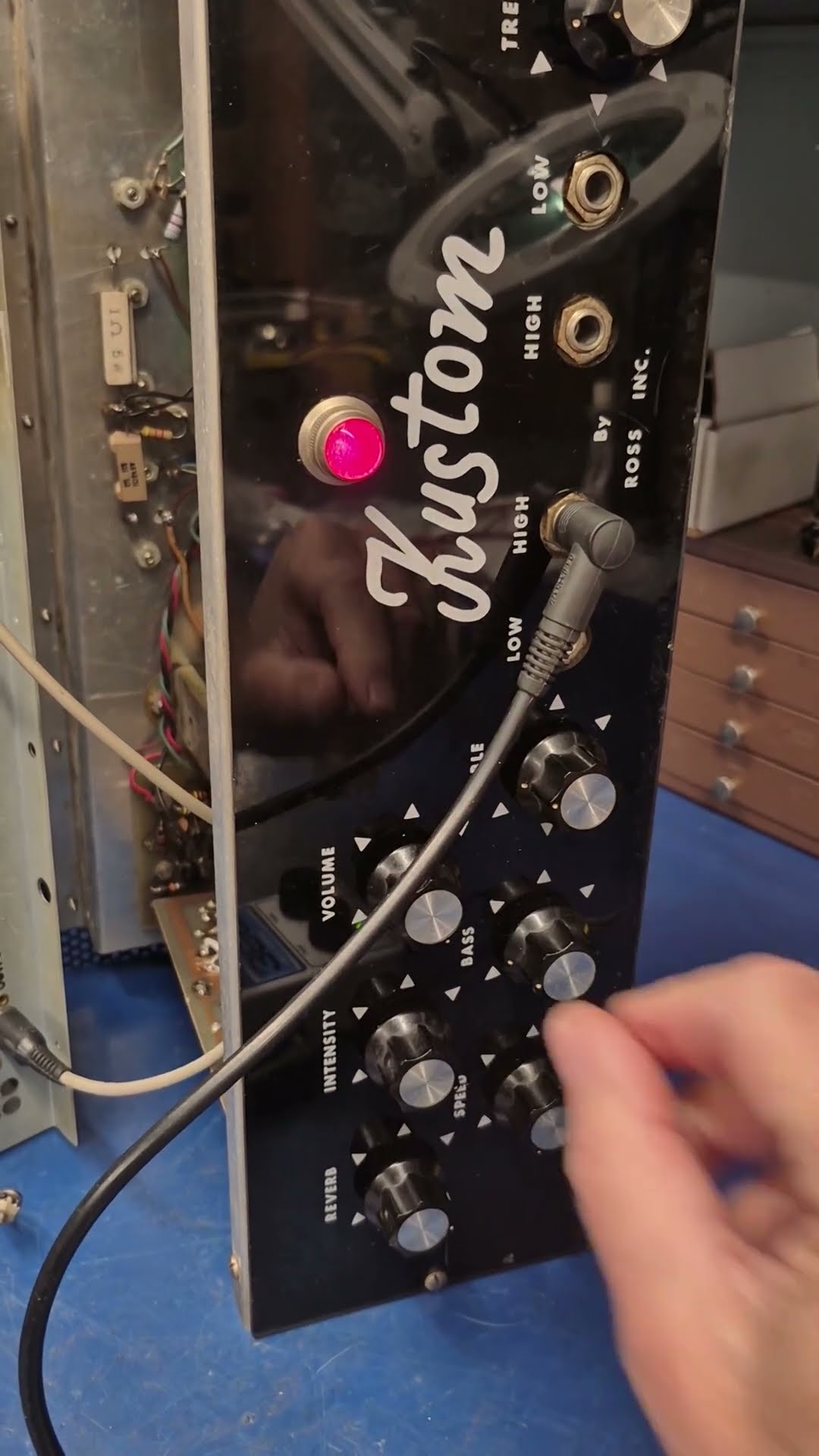 Kustom K200 amp #shorts #repair #diy #amplifier #guitar #tube