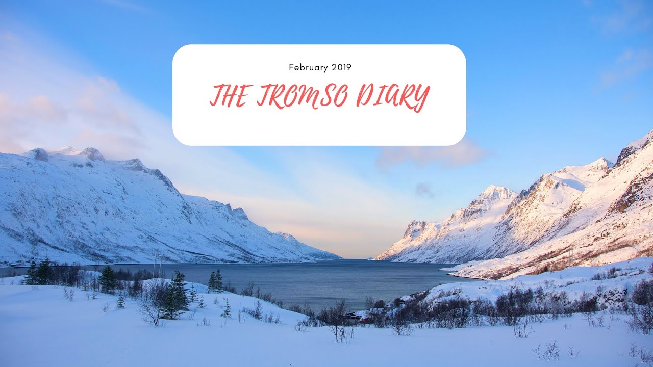 The Tromso Diary (February 2019)