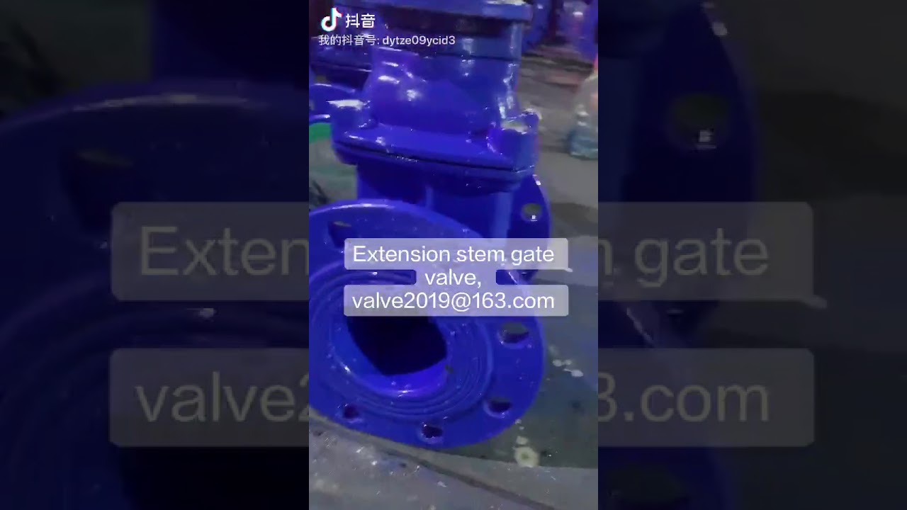 Extesion stem gate valve
