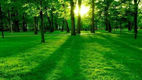 طه ما أنزلنا عليك القرآن لتشقى ( سورة طه )