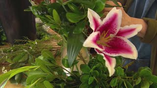 Community prepares to honor Deputy Josh Owen at funeral