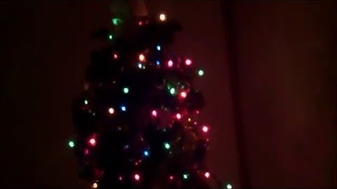 Wonderful Christmas Time Webkinz MEP Part 8 for YellowLab8078!