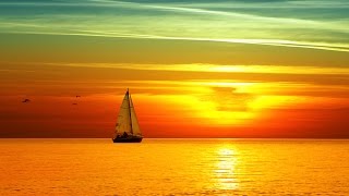 Sleeping Music, Calming Music, Music for Stress Relief, Relaxation Music, 8 Hour Sleep Music, ☯3209