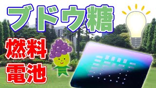 【新技術】ヒトの体内で動く『ブドウ糖燃料電池』について。