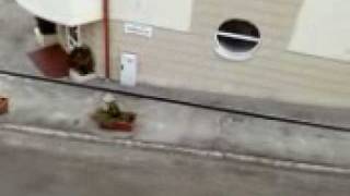 Samsung L770 video test