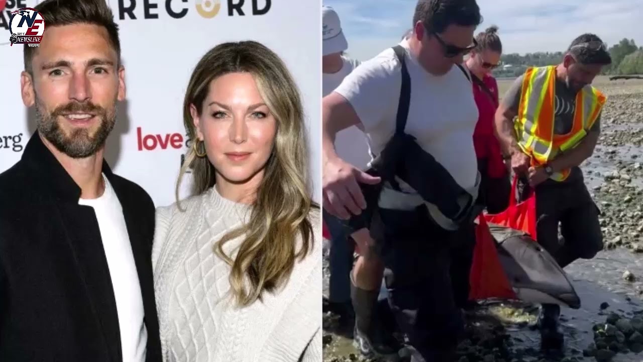 Эндрю Уокер из Hallmark спасает дельфина в душераздирающей истории из реальной жизни || Daily New...