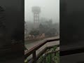 Foggy morning
