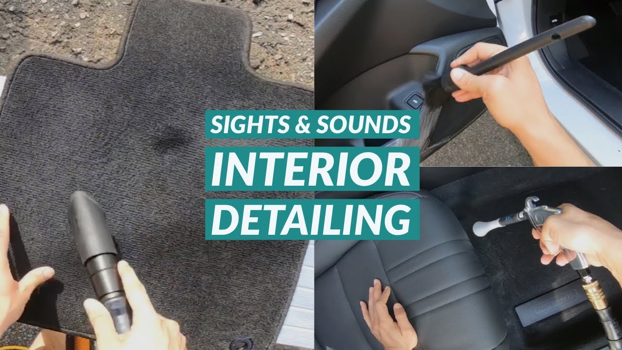 Satisfying Interior Detailing Pet Hair Removal, Wowo’s Interior
