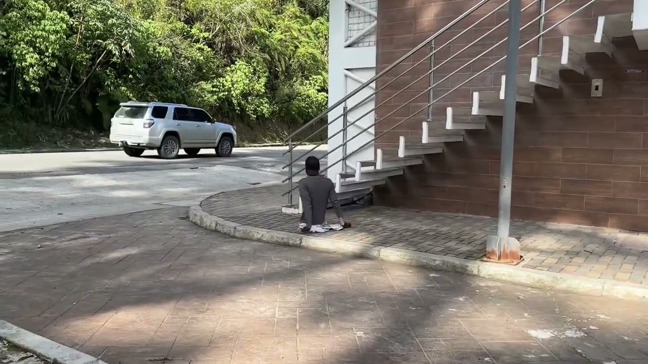 Compartiéndoles unas espectaculares vistas de la tierra de aves y cascadas