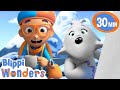 Blippi Climbs The Mountain 🗻 Blippi Wonders | Learning | Cartoons For Kids | After School Club