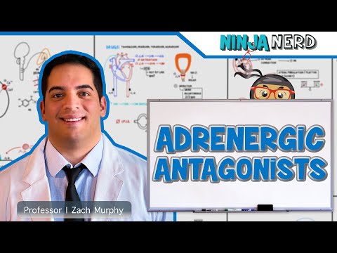 Autonomic Pharmacology | Adrenergic Antagonists