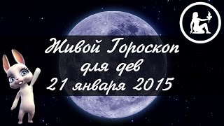 Гороскоп Дева ♍ на 21 января от Зайки Zoobe