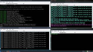 DragonOS Focal Running a GSM network in minutes (osmo-bts, osmo-bsc, osmo-bts-trx, USRP b205mini-i)